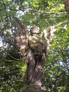 Angels don't fear to tread in a historic cemetery-cum-nature-reserve full of 19th century radical