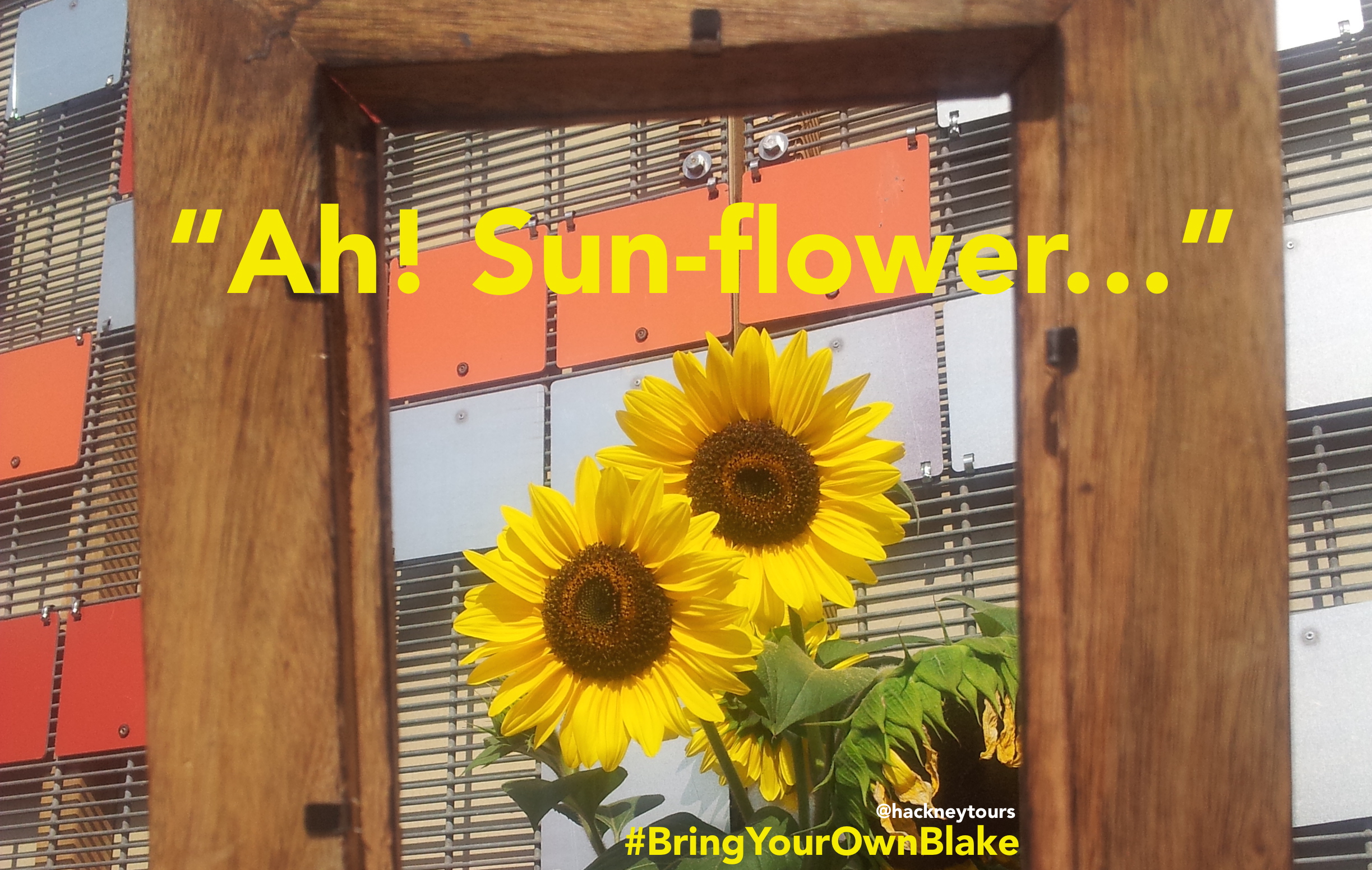 Sunflower framed on side of Hub 67 Hackney Wick oblong Ah Sunflower BYOB HT