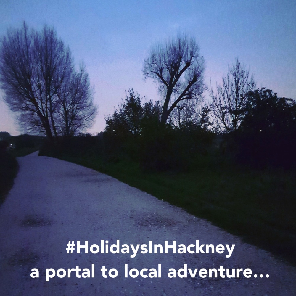 Hackney Marshes night path tinted Holidays in Hackney